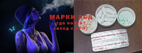 ПСИЛОЦИБИНОВЫЕ ГРИБЫ Арсеньев