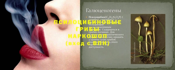 ПСИЛОЦИБИНОВЫЕ ГРИБЫ Арсеньев