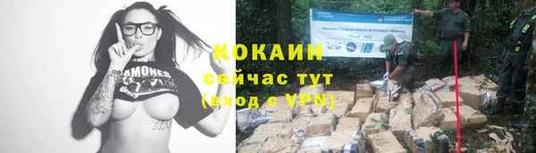 спайс Аркадак