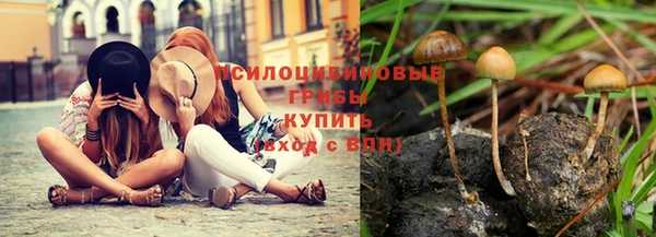 спиды Армянск