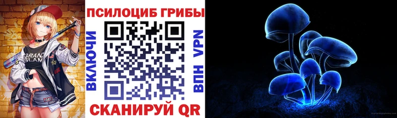 Псилоцибиновые грибы Cubensis Нововоронеж